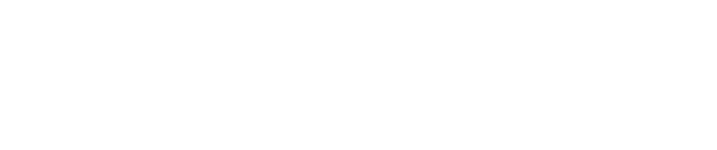 EN Co-Funded by the EU_WHITE